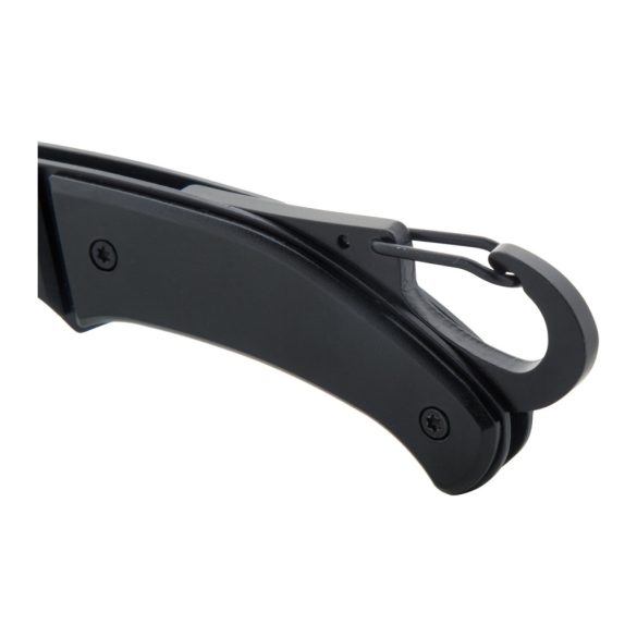 AP808105-10-Briceag-Angus