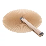 AP808293-00-Evantai-Lolli