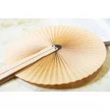 AP808293-00-Evantai-Lolli