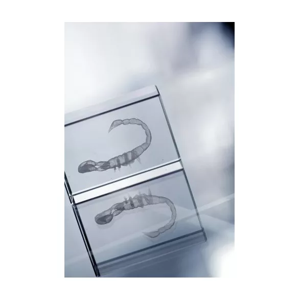 AP808807---Stalp-sticla