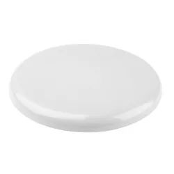 ap809473-01-frisbee