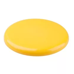 ap809473-02-frisbee