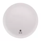 AP809526-01-Frisbee-Reppy