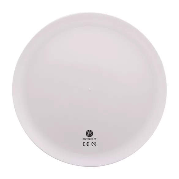 AP809526-01-Frisbee-Reppy