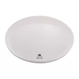 AP809526-01-Frisbee-Reppy