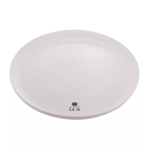 AP809526-01-Frisbee-Reppy