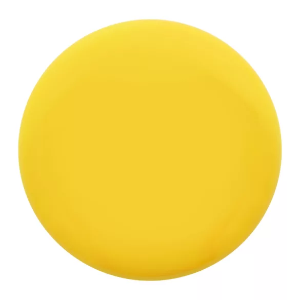 AP809526-02-Frisbee-Reppy