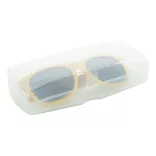 AP810443-Suport-pentru-ochelari-Procter
