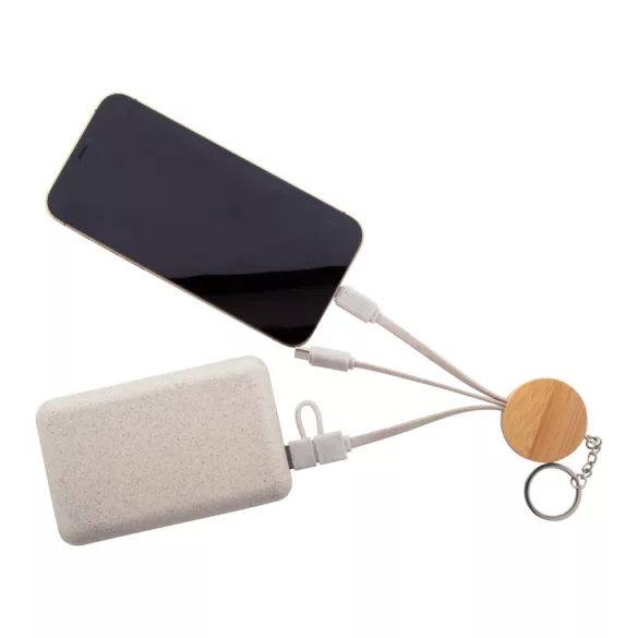 AP864040-Breloc-cablu-USB-Mugory