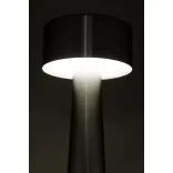AP864067-Lampa-de-masa-Flanagan-800-mAh