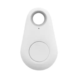 AP864097-01-Dispozitiv-cautare-chei-RABS-Respot