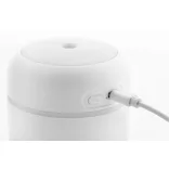 AP864101-01-Umidificator-RABS-Rapor