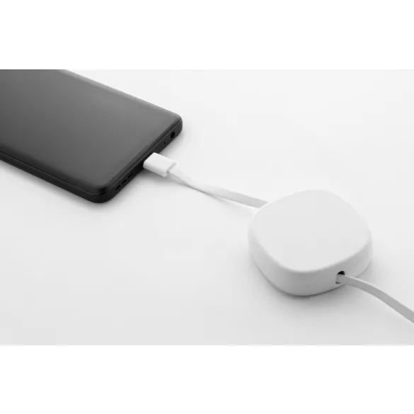 AP864117-01-Cablu-de-incarcare-USB-C-RABS-de-60-W-Cabsle
