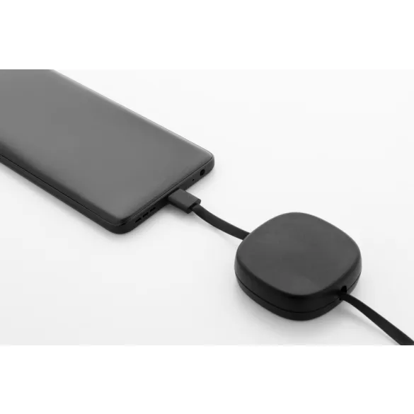 AP864117-10-Cablu-de-incarcare-USB-C-RABS-de-60-W-Cabsle