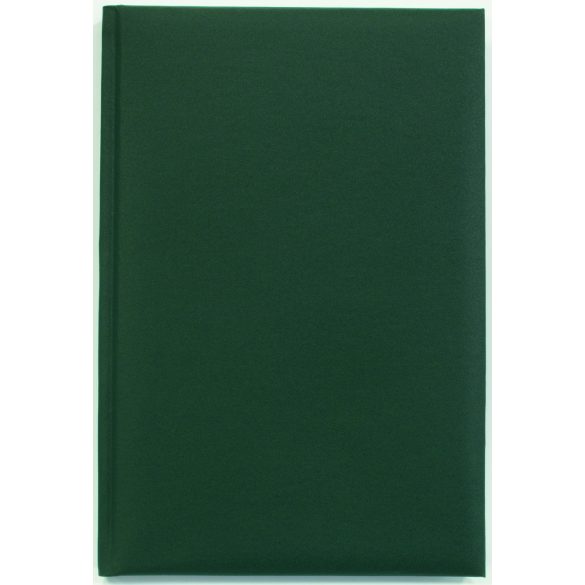 BK-12-EGO-Agenda-nedatata-DOMINO-Verde-14x21-cm