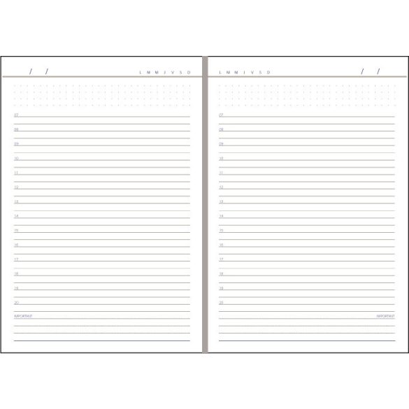 BK-12-EGO-Agenda-nedatata-DOMINO-Verde-14x21-cm