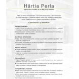 BK-12-EGO-Agenda-nedatata-DOMINO-Verde-14x21-cm