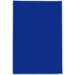 BK-3-EGO-Agenda-nedatata-DOMINO-Albastru-Royal-14x21-cm