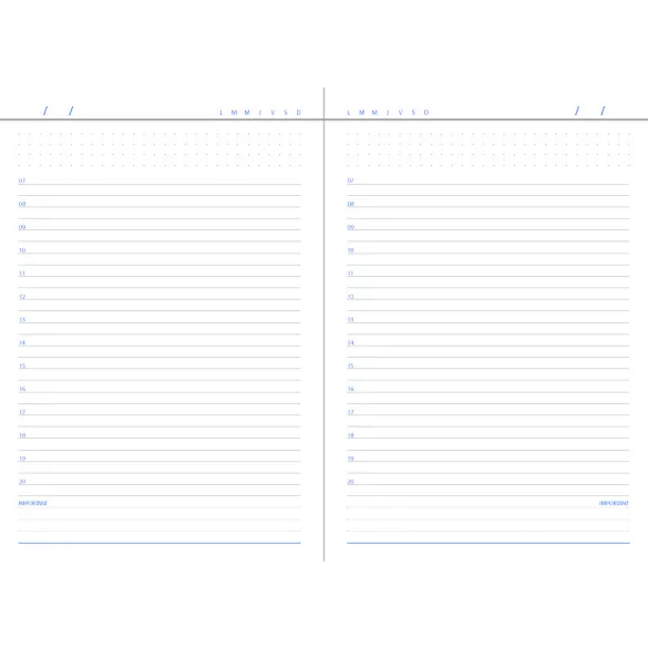 BK-3-EGO-Agenda-nedatata-DOMINO-Albastru-Royal-14x21-cm