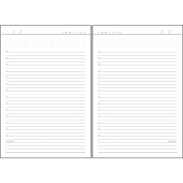 BK-3-EGO-Agenda-nedatata-DOMINO-Albastru-Royal-14x21-cm