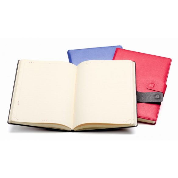 BRISTOL_AG_CH11-Agenda-2026-nedatata-Bristol-16-x-24-cm-Rosu