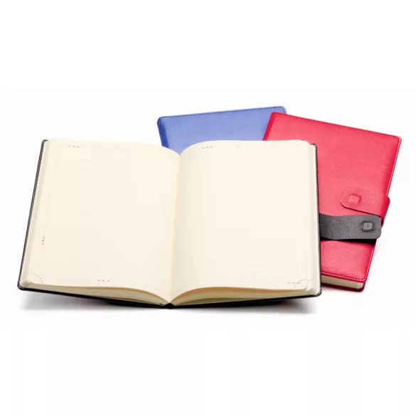 BRISTOL_AG_CH3-Agenda-2026-nedatata-Bristol-16-x-24-cm-Albastru