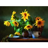 CA50-Calendar-perete-NATURI_STATICE