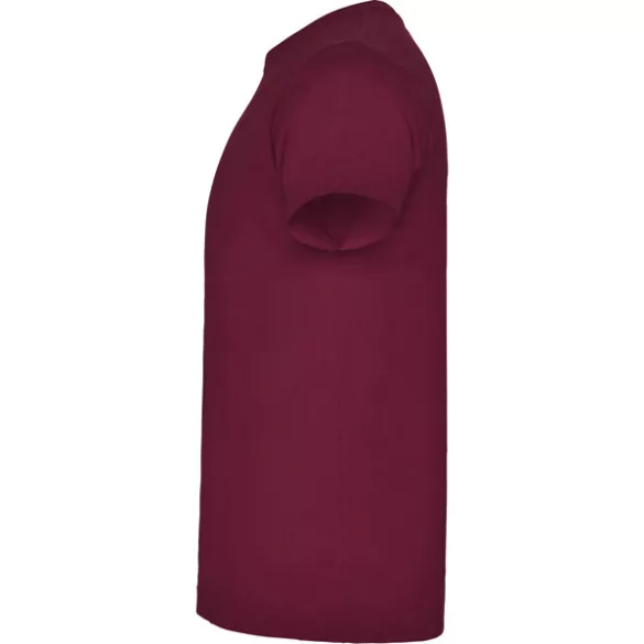 CA6550 - Tricou cu maneca scurta pentru adulti - BRACO - [Rosu vin]