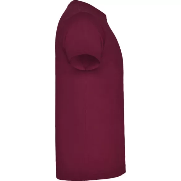 CA6550 - Tricou cu maneca scurta pentru adulti - BRACO - [Rosu vin]