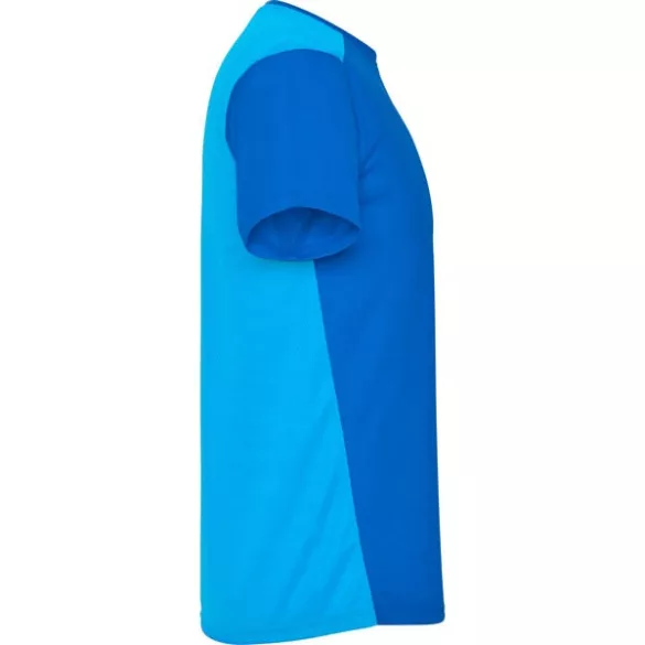 CA6652 - Tricou tehnic pentru barbati - DETROIT - [Albastru royal/Royal deschis]
