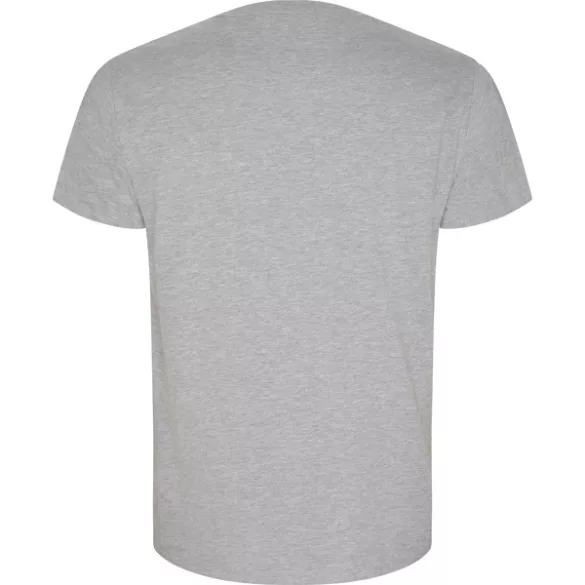 CA6690 - Tricou cu maneca scurta de barbati - GOLDEN - [Gri melanj]