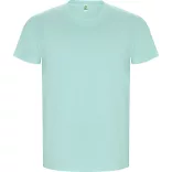 CA6690 - Tricou cu maneca scurta de barbati - GOLDEN - [Verde menta]