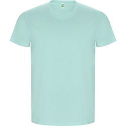   CA6690 - Tricou cu maneca scurta de barbati - GOLDEN - [Verde menta]
