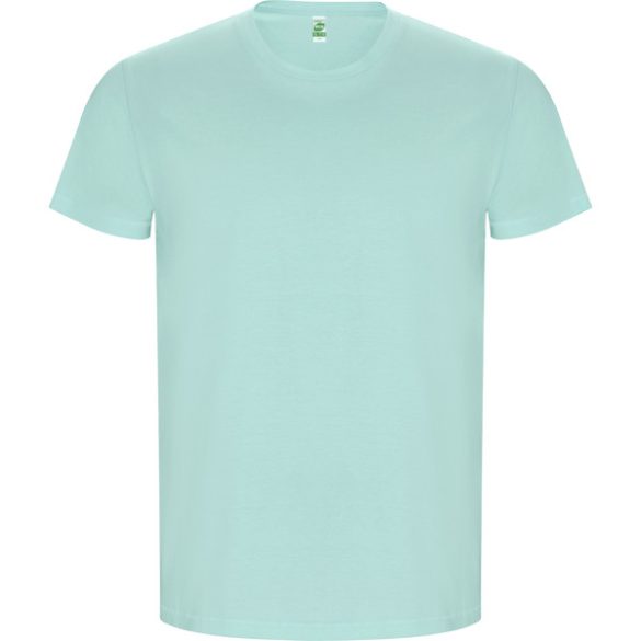 CA6690 - Tricou cu maneca scurta de barbati - GOLDEN - [Verde menta]