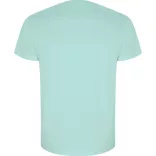 CA6690 - Tricou cu maneca scurta de barbati - GOLDEN - [Verde menta]