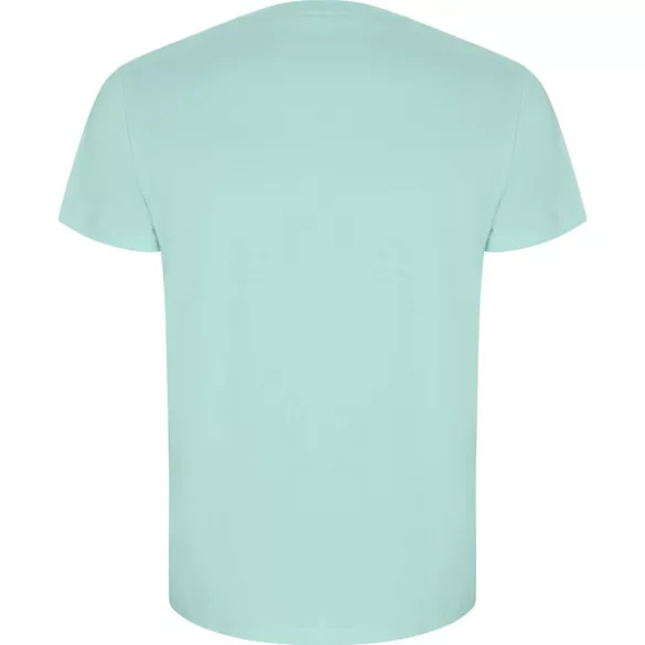 CA6690 - Tricou cu maneca scurta de barbati - GOLDEN - [Verde menta]