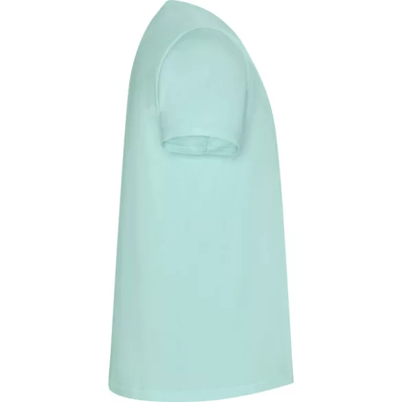 CA6690 - Tricou cu maneca scurta de barbati - GOLDEN - [Verde menta]
