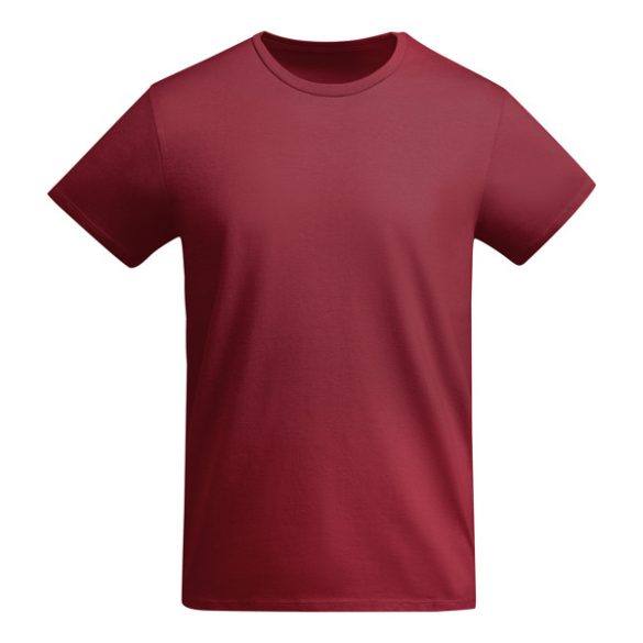 CA6698 - Tricou cu maneca scurta de barbati - BREDA - [Grena]