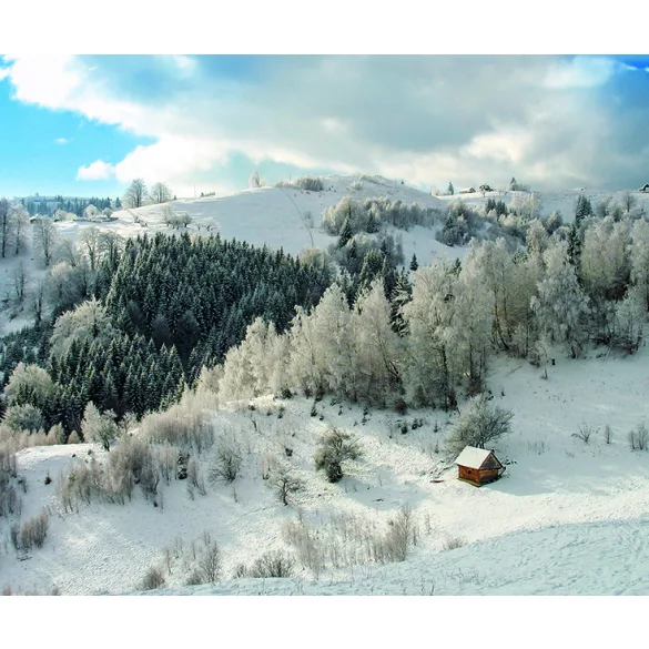 CA9-Calendar-perete-ROMANIA