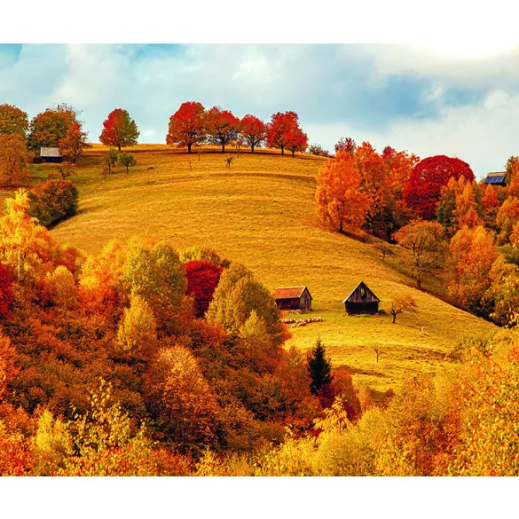 CA9-Calendar-perete-ROMANIA