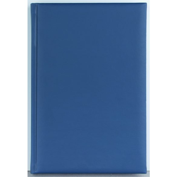 Agenda-2025-datata-zilnic-Capri-16-x-24-cm-Albastru-deschis