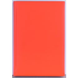 Agenda-2026-datata-zilnic-Capri-16-x-24-cm-Portocaliu