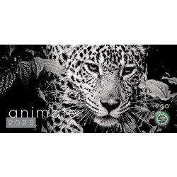 CB_23-Calendar-de-birou-ANIMALE