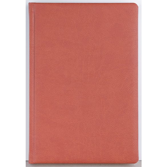 CH-8-OFFICE-EGO-Agenda-datata-zilnic-Office