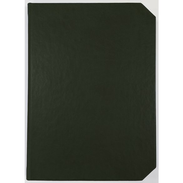 CV10_Linea_EGO-Agenda-nedatata-LINEA-Negru-14x21-cm