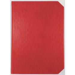 CV11_Linea_EGO-Agenda-nedatata-LINEA-Rosu-14x21-cm