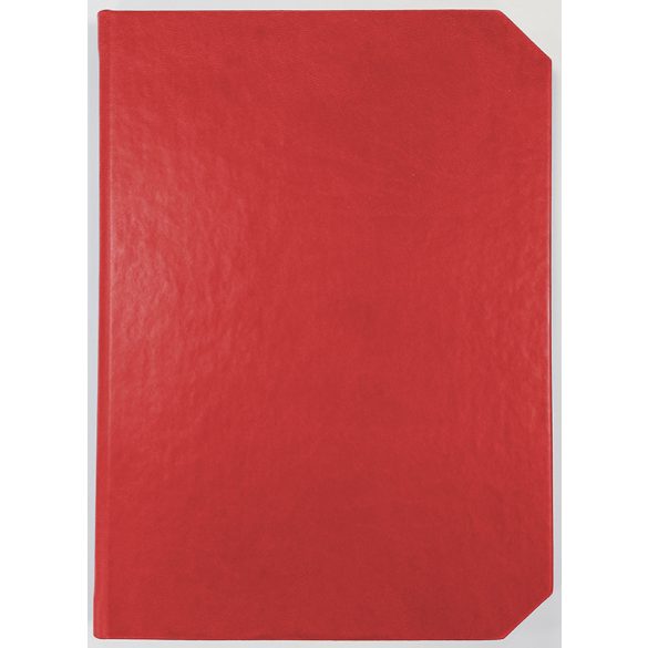 CV11_Linea_EGO-Agenda-nedatata-LINEA-Rosu-14x21-cm