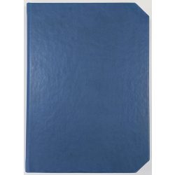 CV3_Linea_EGO-Agenda-nedatata-LINEA-Albastru-Royal-14x21-cm