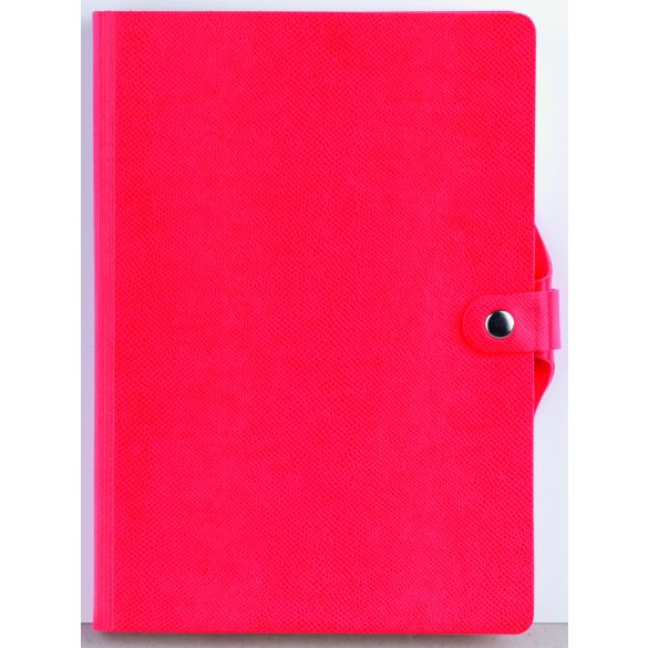 DR-11-EGO-Agenda-nedatata-CORSICA-Visiniu-14x21-cm
