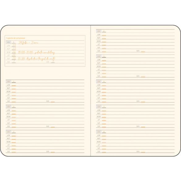 DR-11-EGO-Agenda-nedatata-CORSICA-Visiniu-14x21-cm